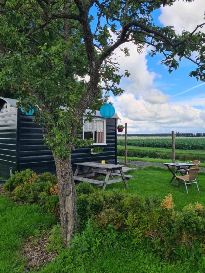 B&B Beemsterlust Westbeemster Exterior foto