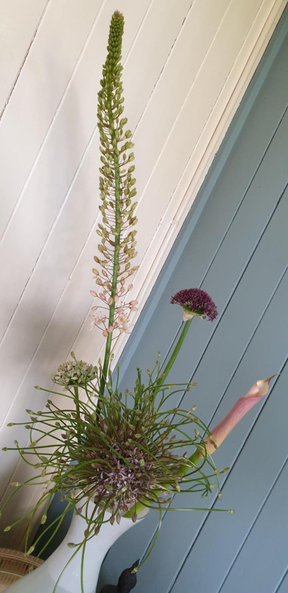 B&B Beemsterlust Westbeemster Quarto foto
